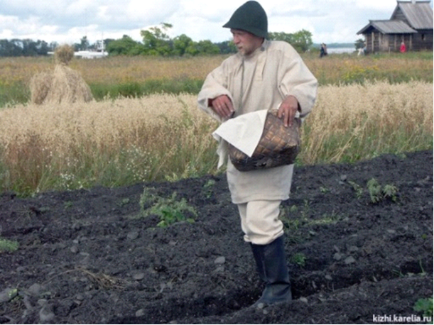 фото из интернета