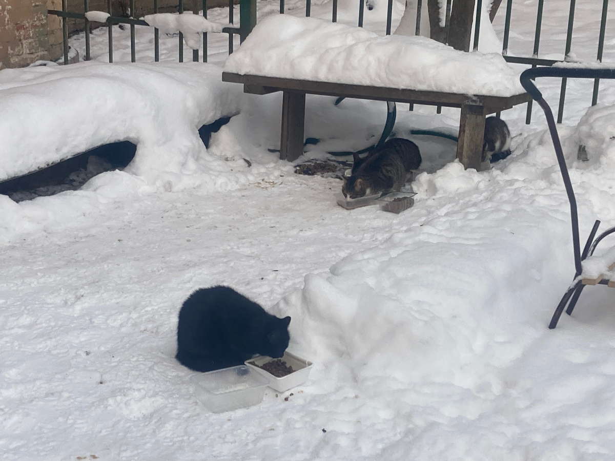 Наша скамейка