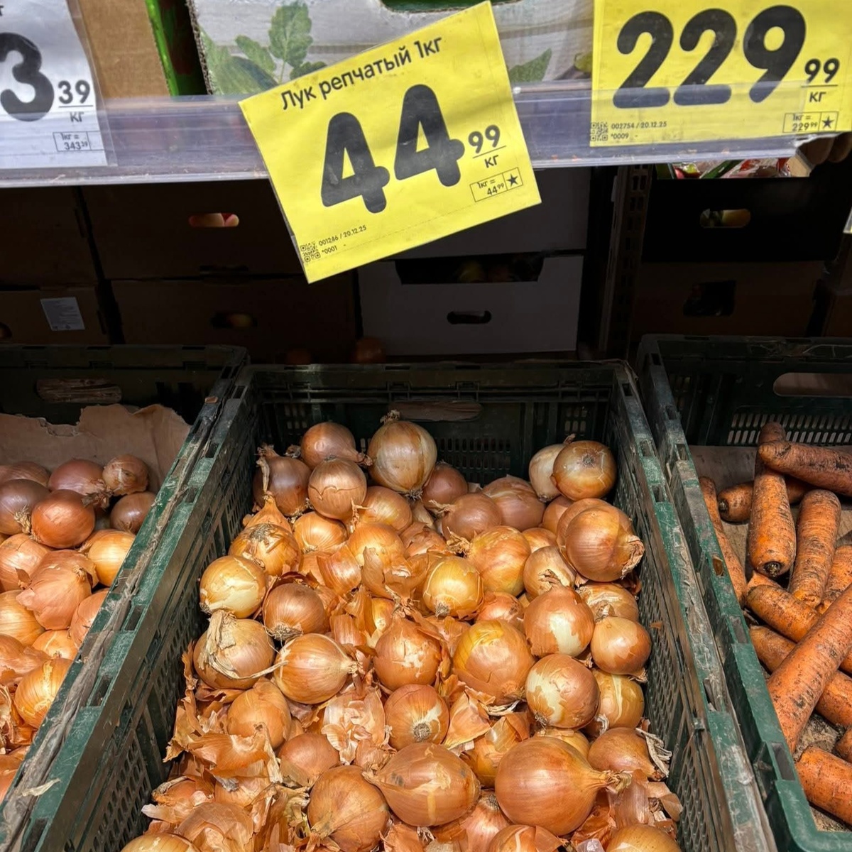 Фото: Андрей Туманов