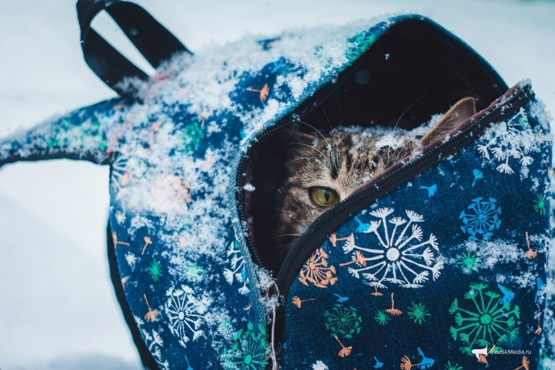     Тематическое фото. Фото: ИА OmskMedia