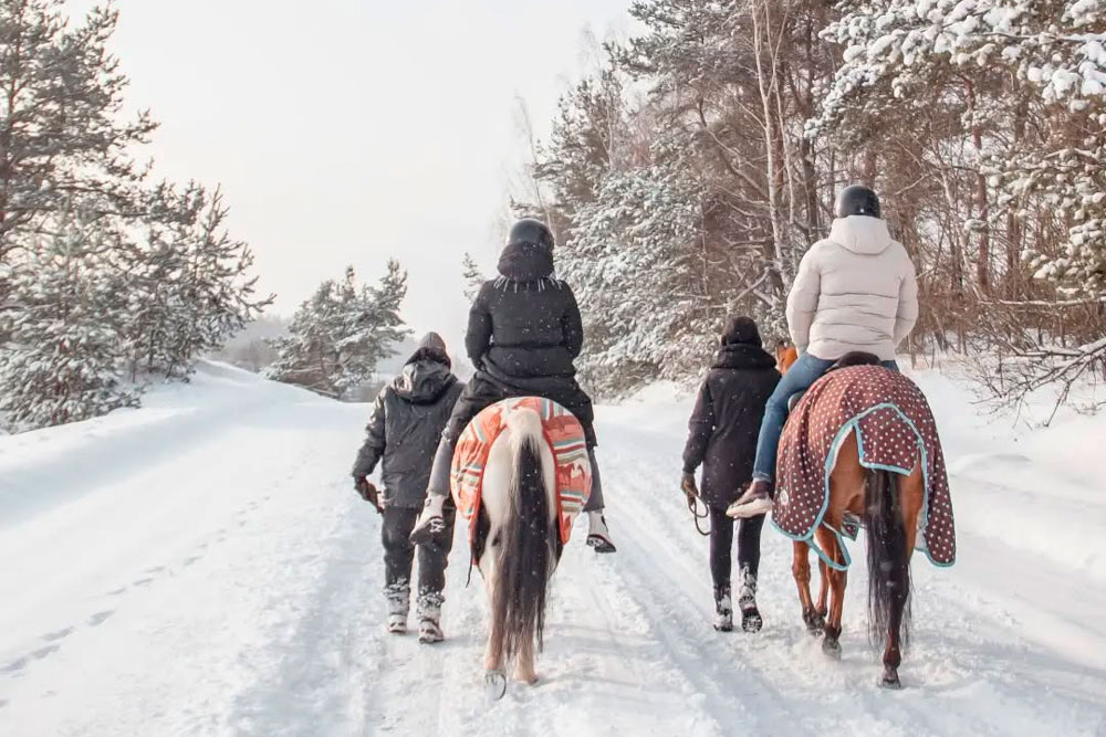    «Лошади «разговаривают» с людьми взглядом, движениями, звуками... » Фото: фото из личного архива