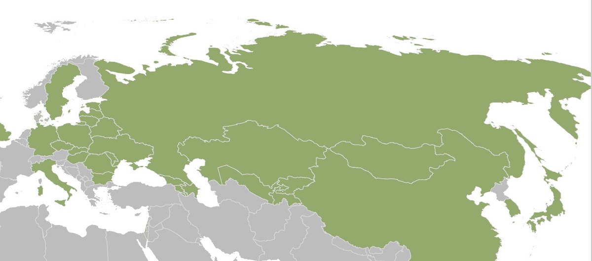 Изображение создано в программе Excel