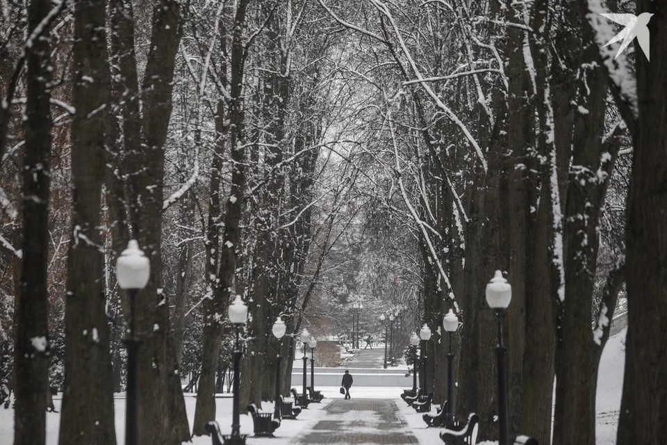    Морозы до -14 градусов и снег прогнозируются в Беларуси на 7 января на Рождество. Снимок носит иллюстративный характер. Павел МАРТИНЧИК