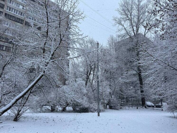     Фото: архив «МК в Калининграде».