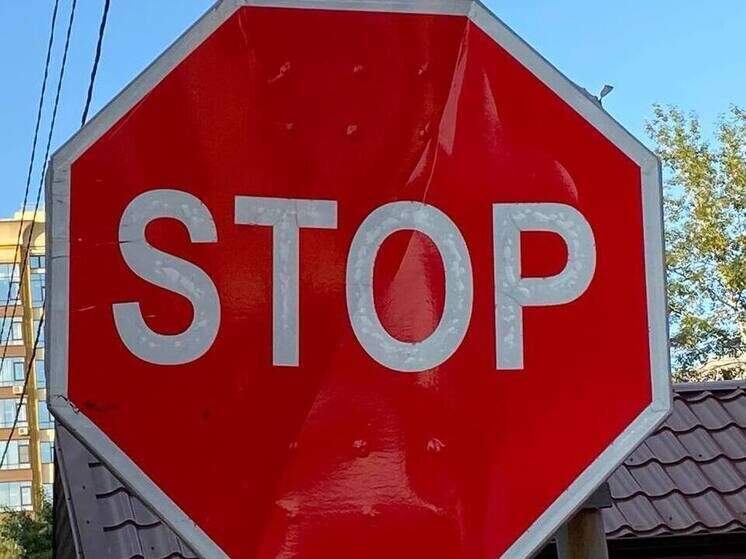     Фото: МК на Алтае/Анастасия Чебакова