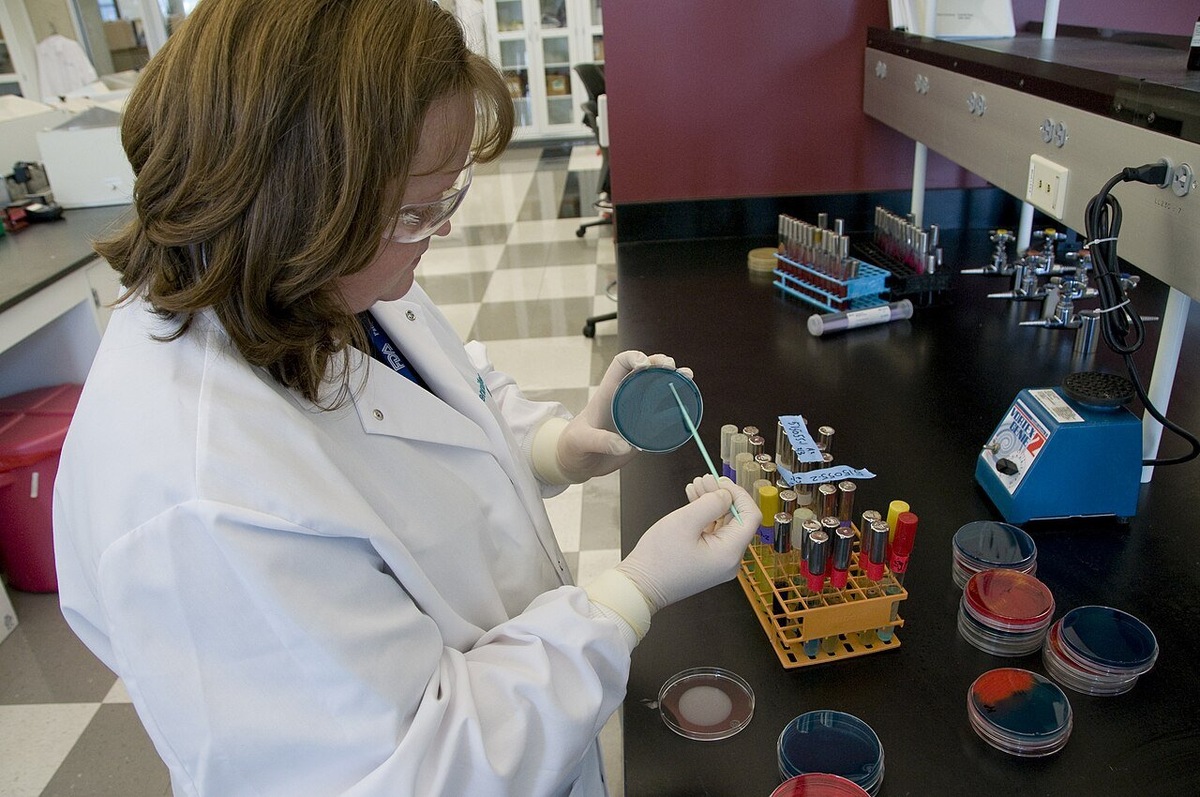    Сотруднийца FDA проводит тест на присутствие в пробах Salmonella spp.