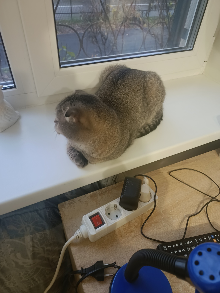 Фотографироваться она не любит... 😂