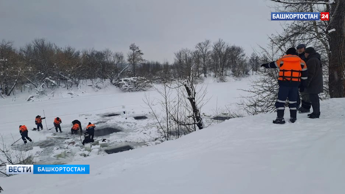    В Бирском районе Башкортостана продолжают извлекать утонувших овец