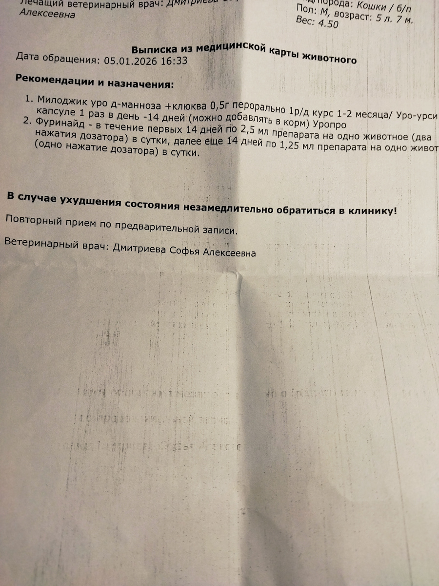 Фото автора