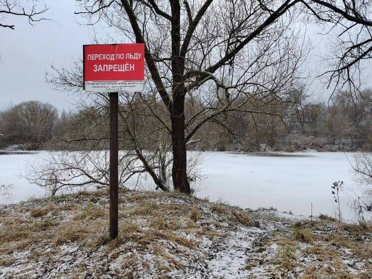     Фото: пресс-служба администрации г.о. Серпухов