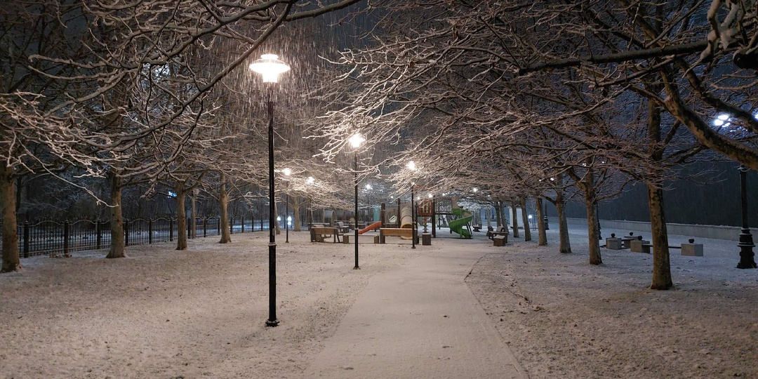 Шуточное стихотворение "Вечерний парк".