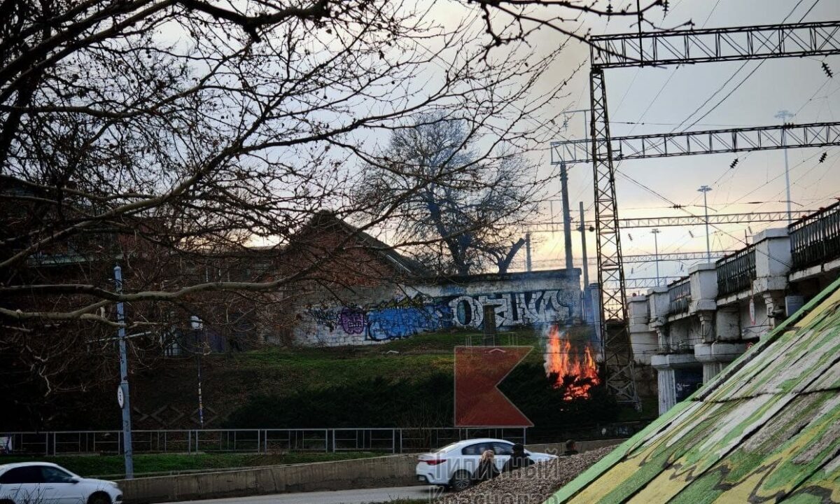    Фото t.me/krd_tipich_ru