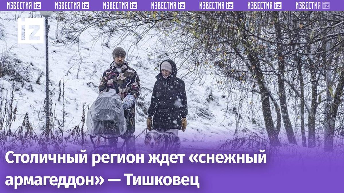 Фото: ИЗВЕСТИЯ/Константин Кокошкин