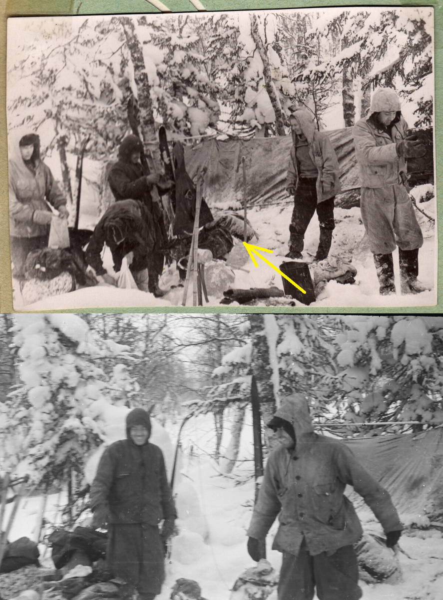 Фото 1. На обоих кадрах перед палаткой стоит береза. 