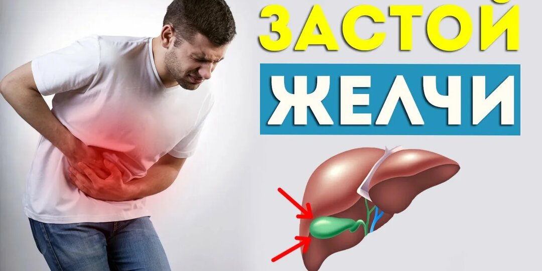 Жёлчь застоялась? 9 причин, почему это происходит — и что делать, чтобы печень снова «дышала»