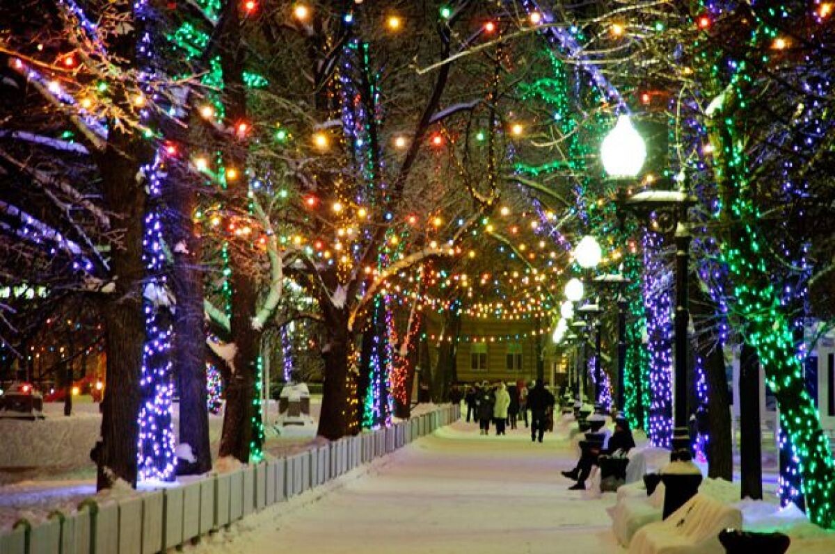 Яндекс. Картинки