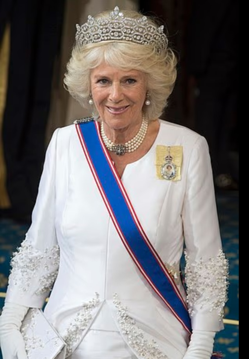 Конечно, Кейт никогда не хотела бы оскорбить Камиллу, пишет Аманда Плателл... но я, наверное, не единственная, кто считает, что этот акцент на ее королевских качествах — это пощечина нынешней королеве.