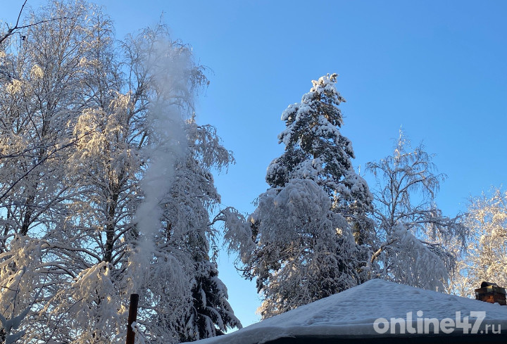 фото: Валентин Илюшин/Online47
