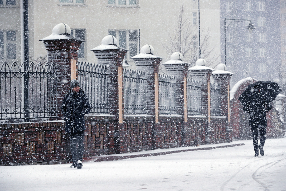    Сергей Булкин/NEWS.ru