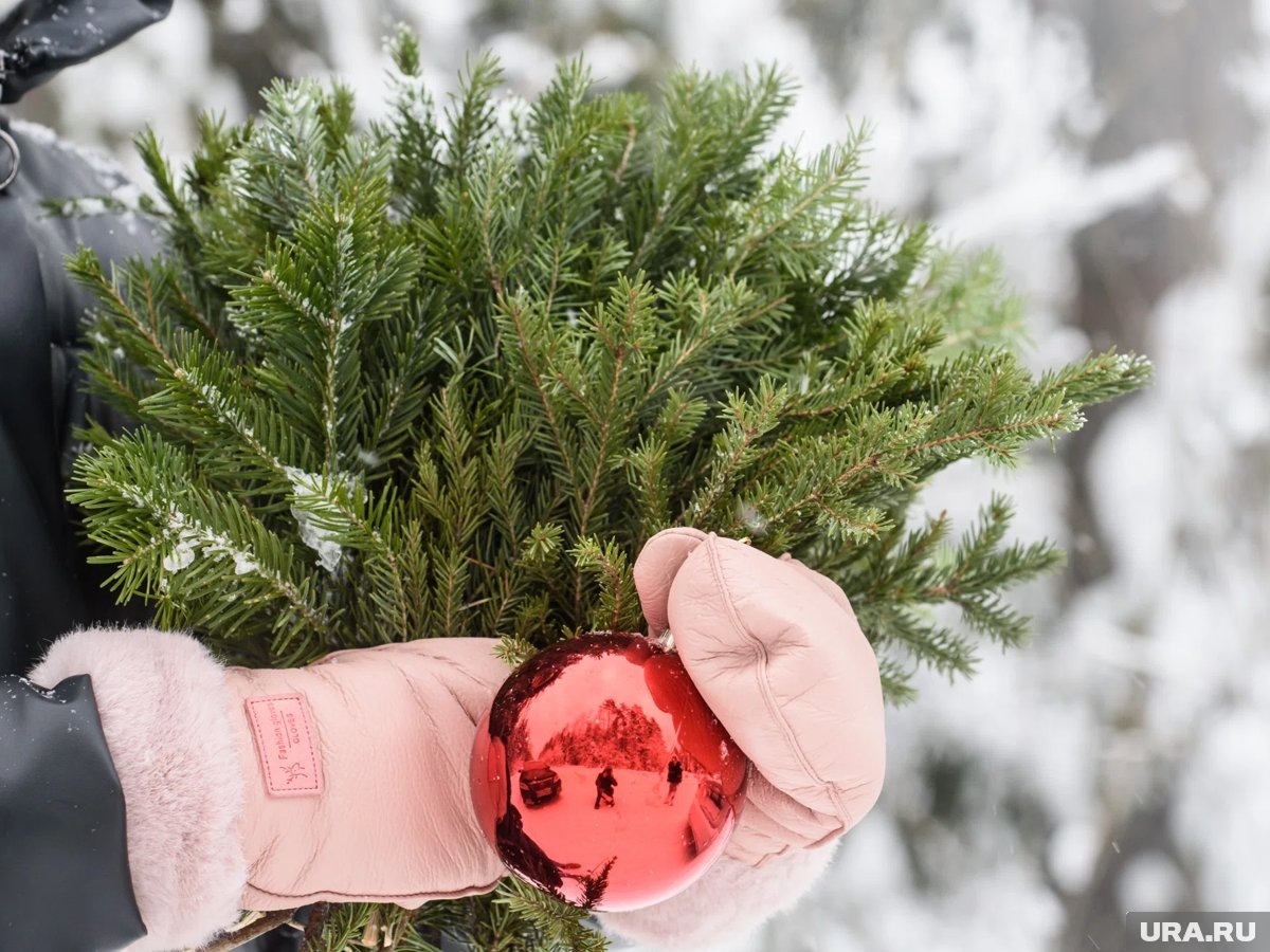    Продажи новогодних букетов и кондитерских подарков перед Новым годом выросли на 30%