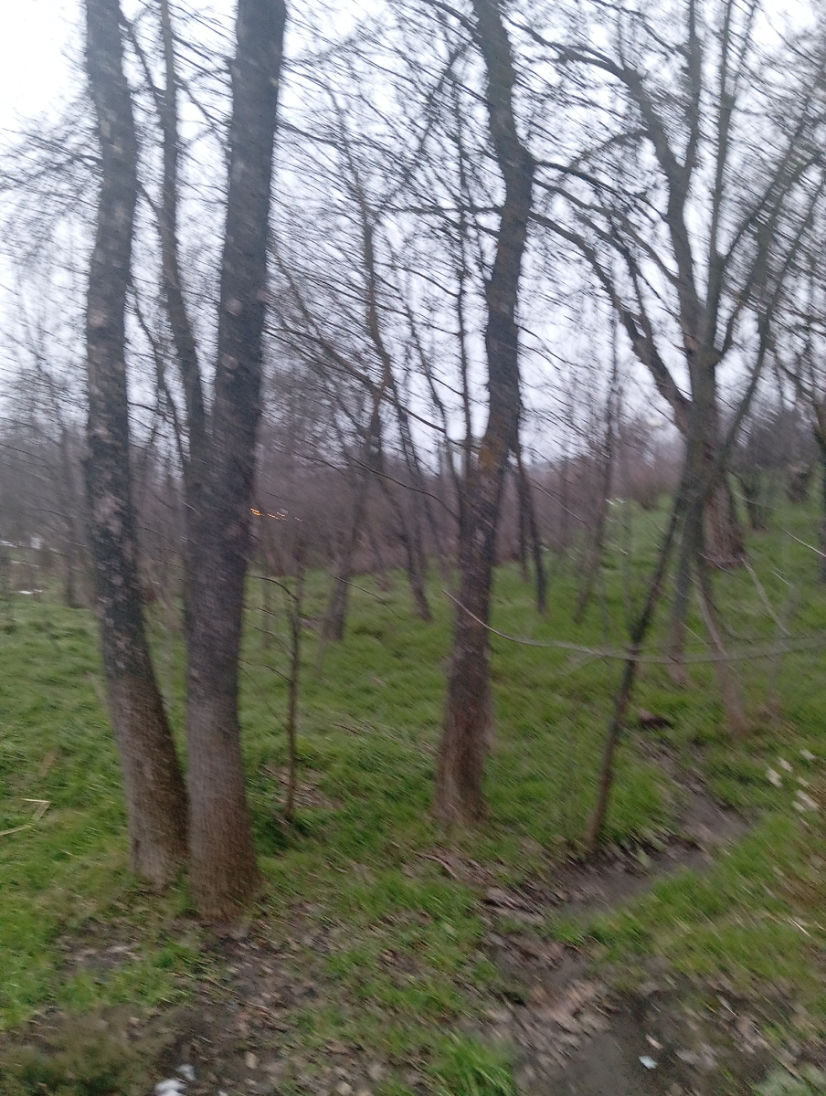 Опять в парке