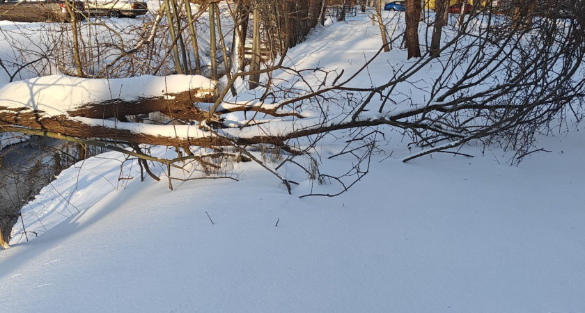    Первый городской канал Калининград