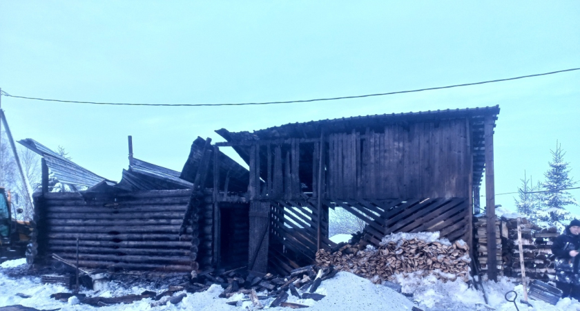    Фото МЧС по Коми