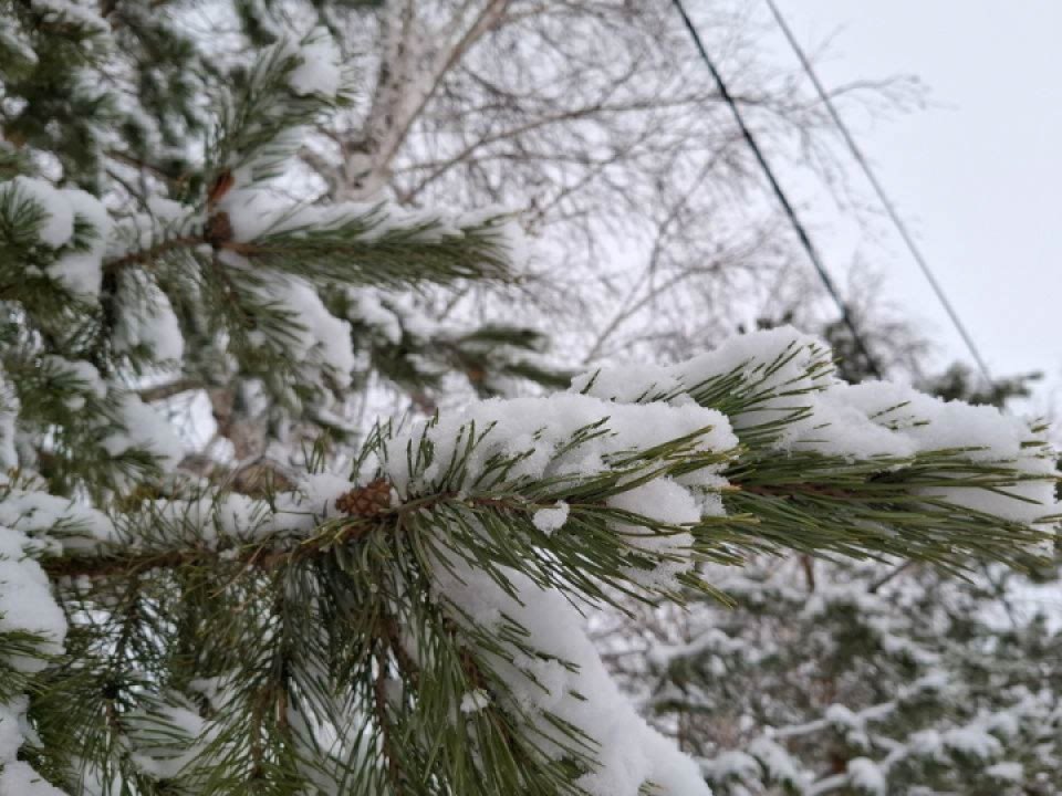    Фото: REGIONS/Юлия Габбасова