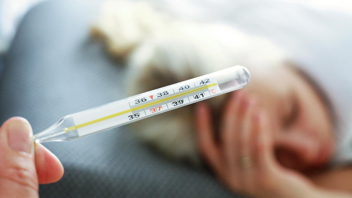    Фото: ИЗВЕСТИЯ/Юлия Майорова