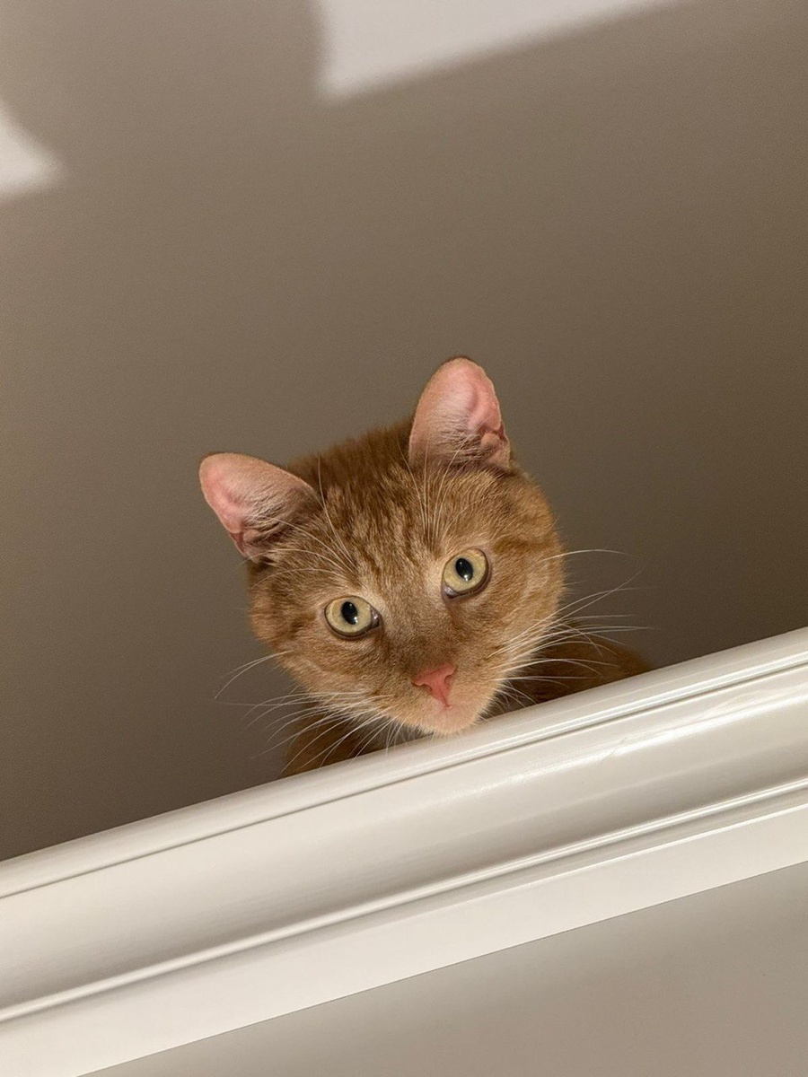 Какой ещё испытательный срок? Я никуда не уеду из этого дома, он лучшее, что со мной случилось