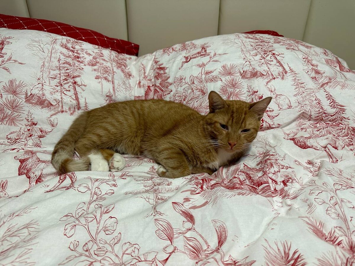 Но зато потом я сразу на кровать заселился, это стоило того, чтобы ждать