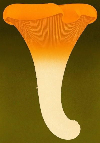 Страутникас. Лисичка. 2024.