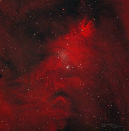    Фото: t.me/roscosmos_gk