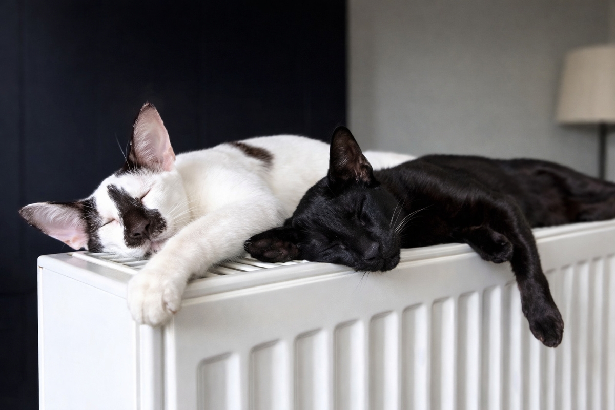 Хьюго и Буря