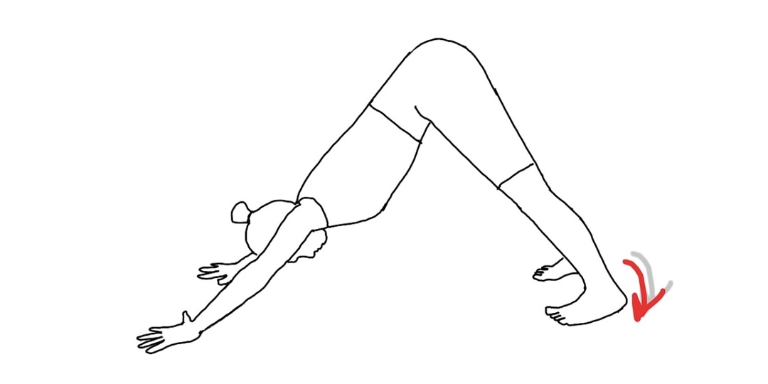 Как опытному практику йоги поставить пятки на пол в Собаке мордой вниз?