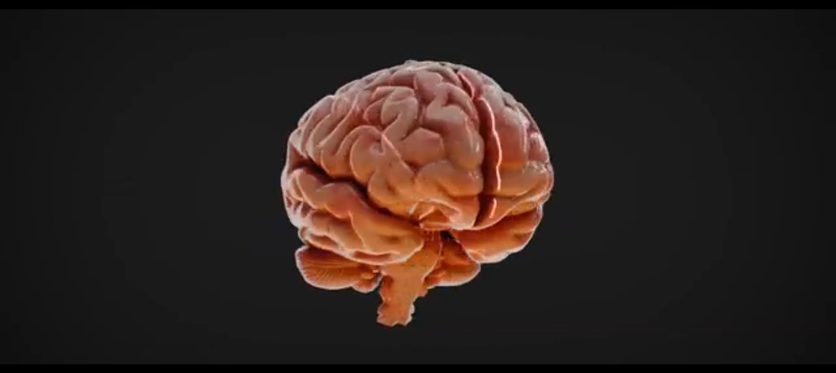 3D-модель человеческого мозга, который просвечивают сканером или лучами. Затем монтажная склейка с лицами счастливых людей из рекламы, которые сменяются кадрами протестов.