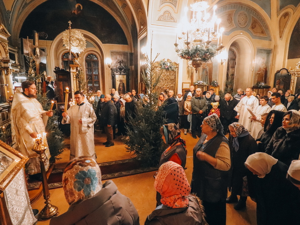     Фото: МедиаБанк Подмосковья/Данила Кирьянов