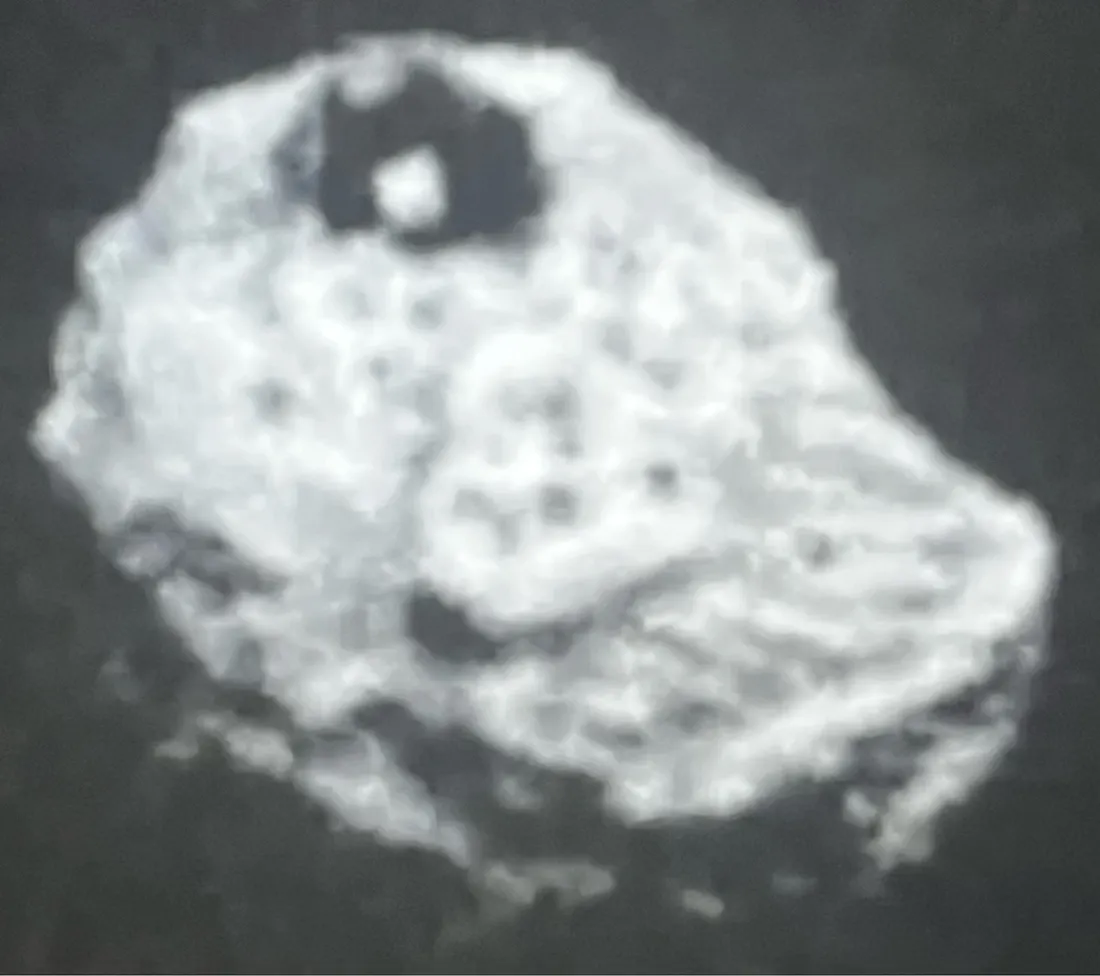 Неужели они думали, что мы этого не видим? Источник изображения: NASA