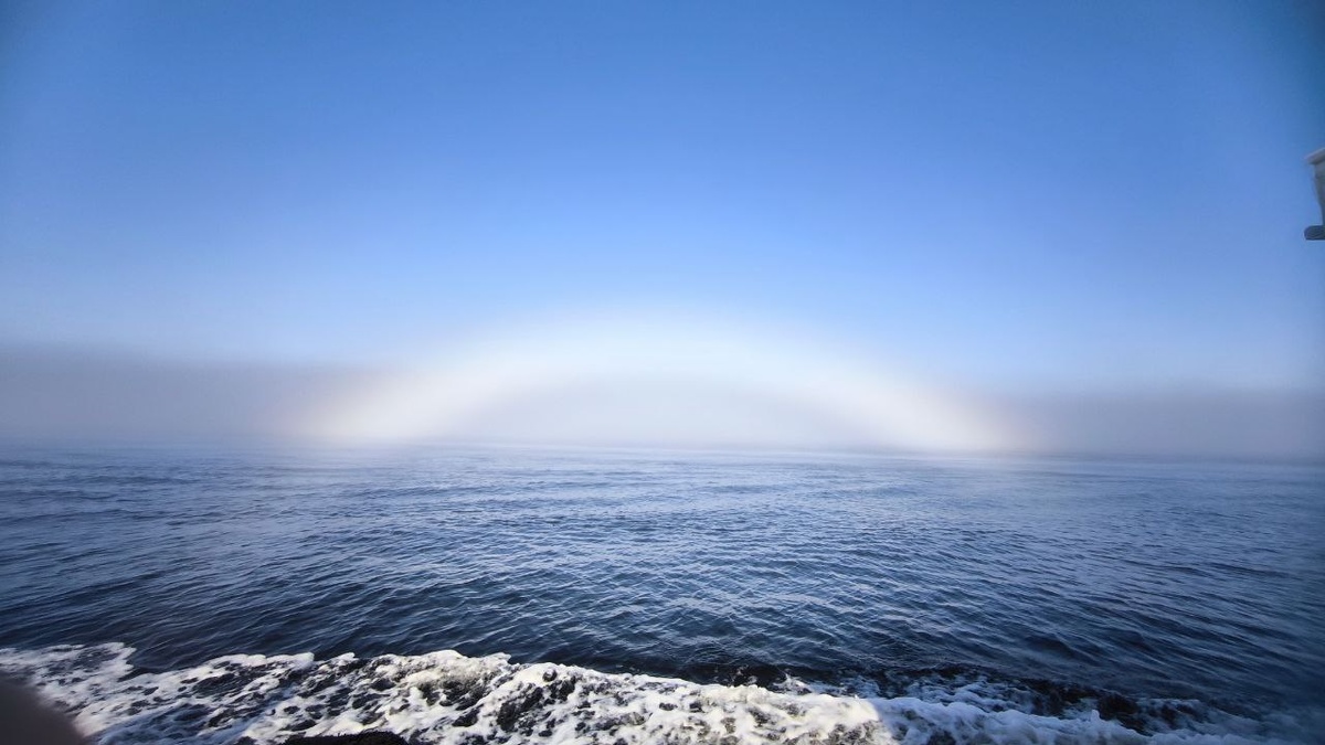 Фото из личного архива. Баренцево море 2025