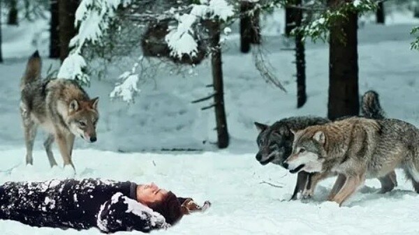 Фото из Яндекса