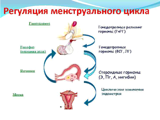 фото из интернета