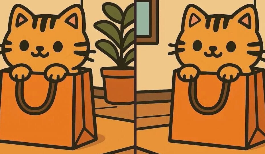 Котик в пакете: сможете найти отличия между двумя картинками?