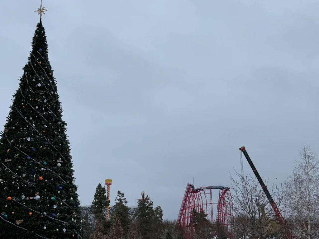    photo_2026-01-06_15-33-38