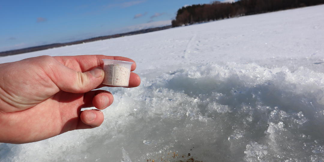 Насыпьте это в лунку на зимней рыбалке. Под вашими ногами соберется вся бель с водоема.