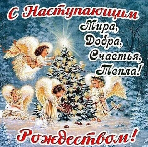 фото из соцсетей