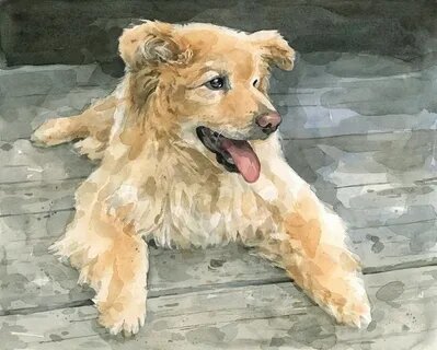 картинка из интернета.