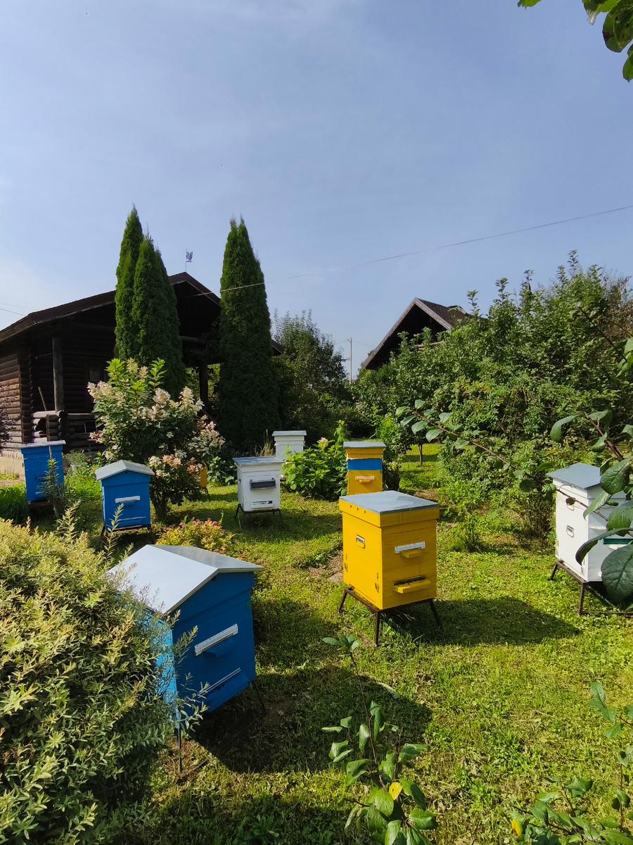 Семейная пасека Кулешовых 