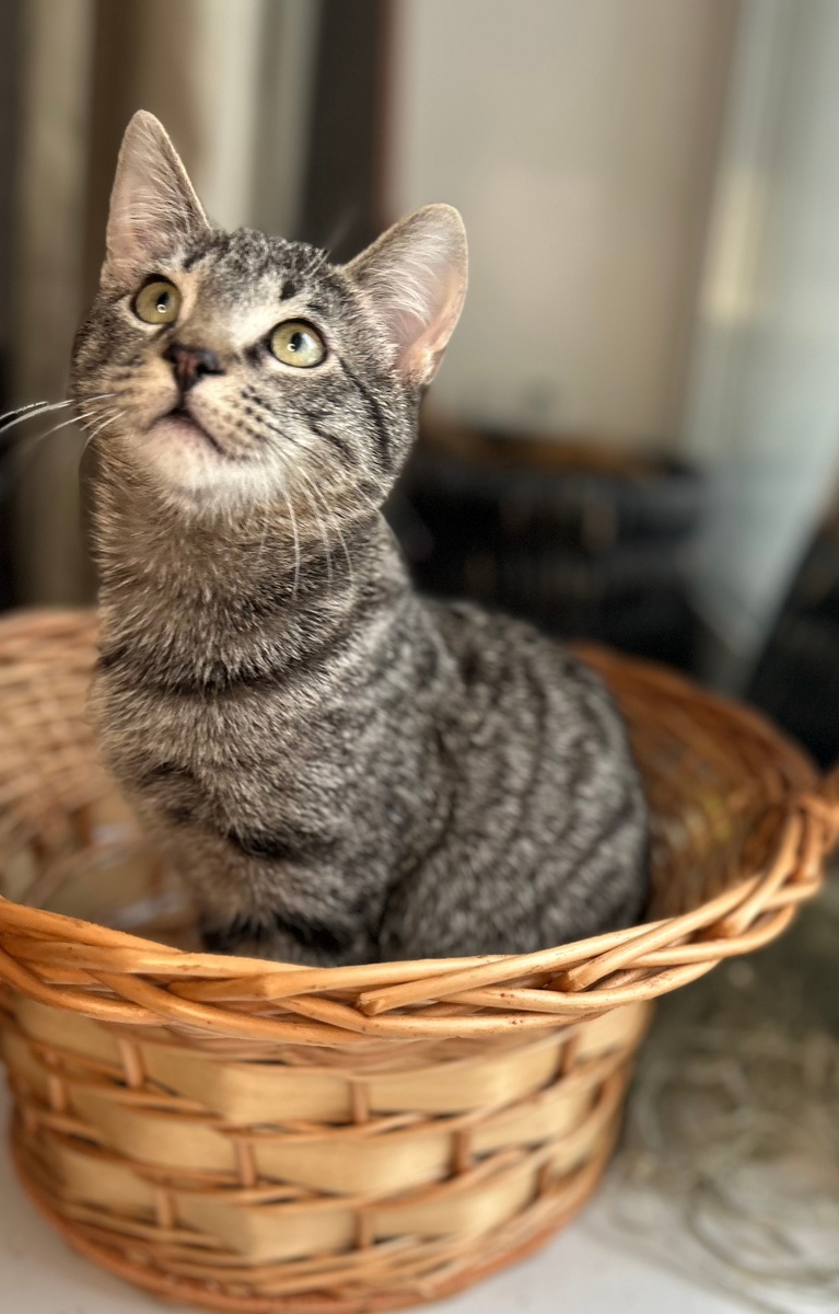 Бэм ласковый, нежный, очаровательный малыш)💖