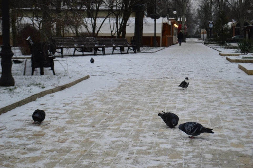    На Рождество в регионе будет срываться мокрый снег Роман ПОБЕРЕЖНЮК