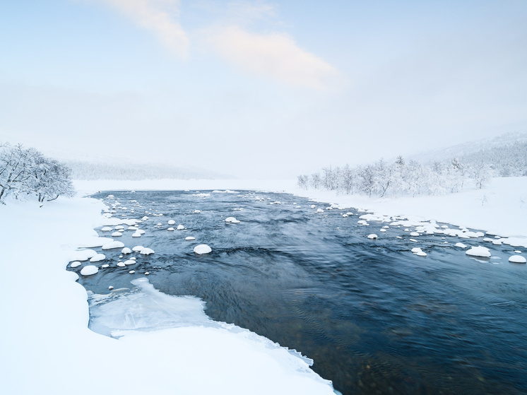     Источник: wirestock/FreePik